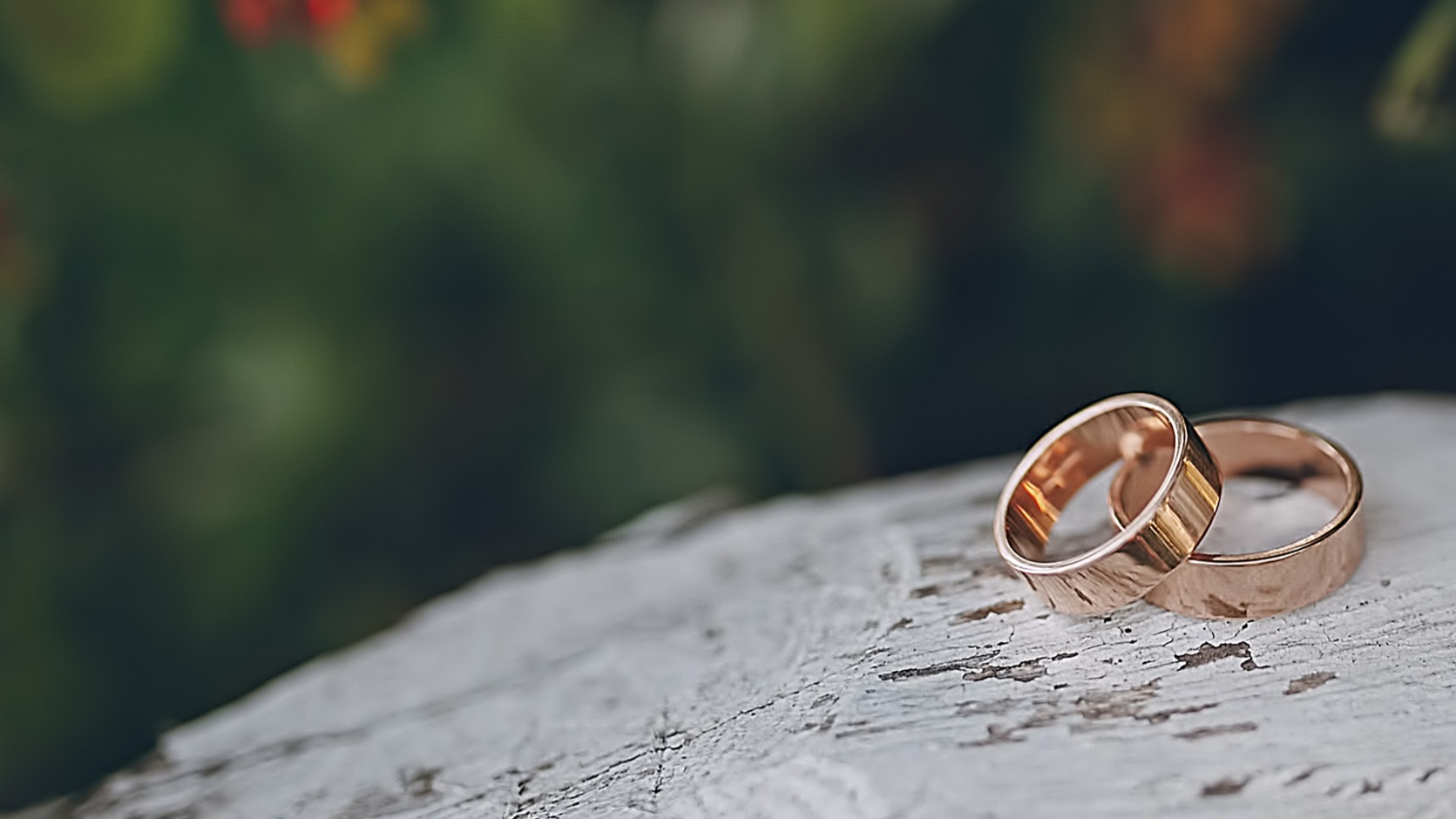 Coleção de Alianças de Ouro 18k